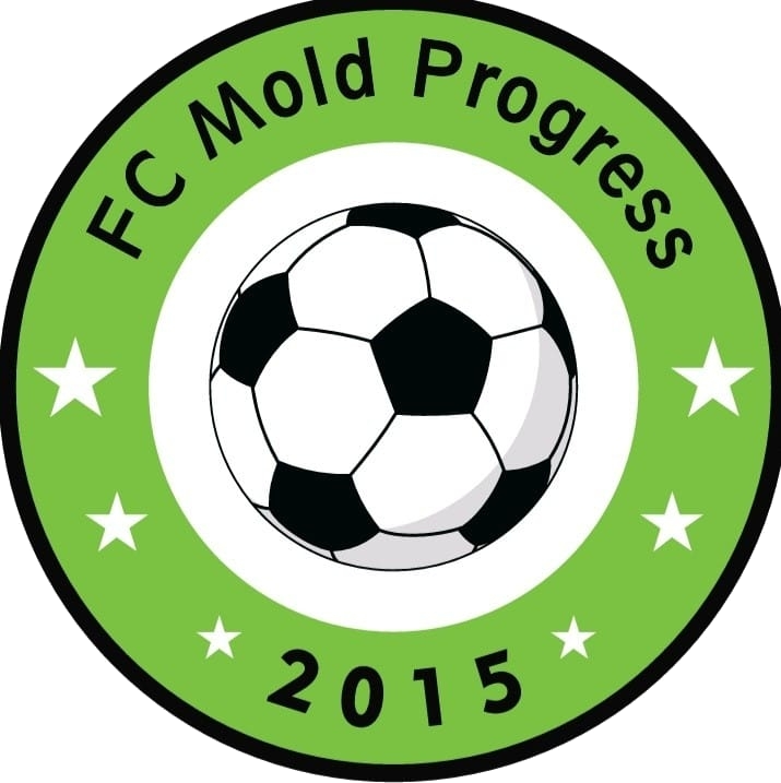 FC MoldProgress